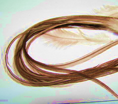 ���� Dry Fly (��� ����� ���) 10 �� ���� ���������� ������ , ������ �14